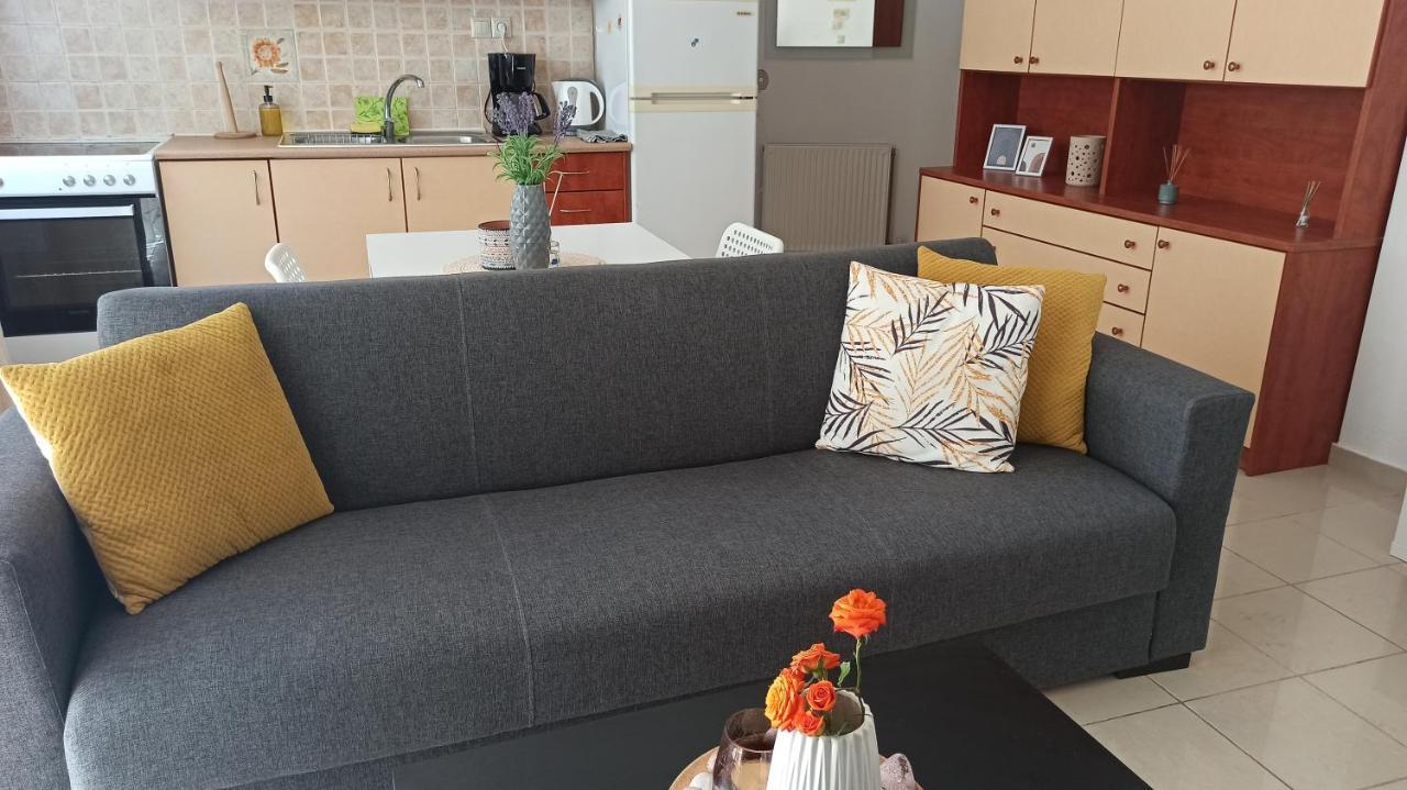 Cozy Flat Close To The Airport/Port And Center Nea Alikarnassos Ngoại thất bức ảnh